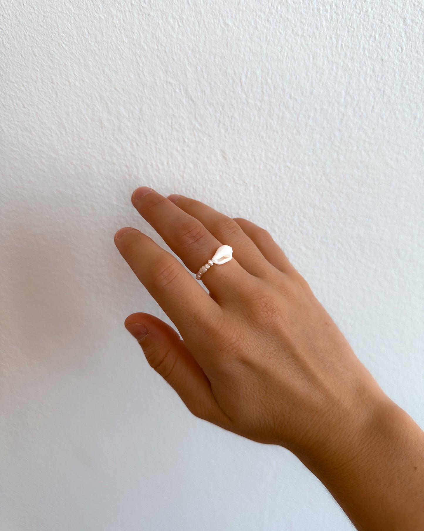 The Shell Ring