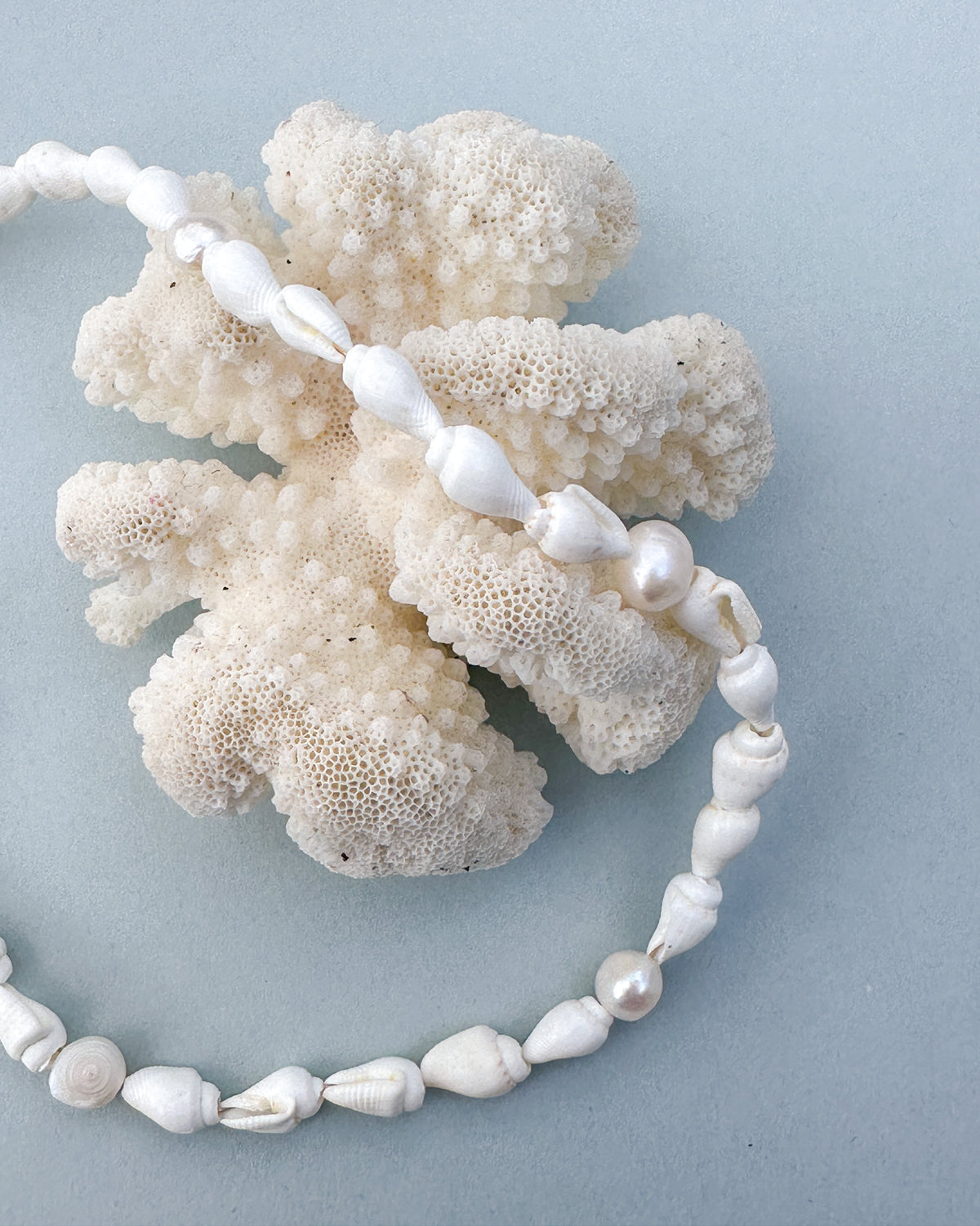Shell Choker