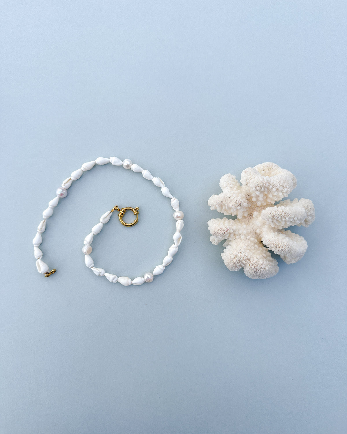 Shell Choker
