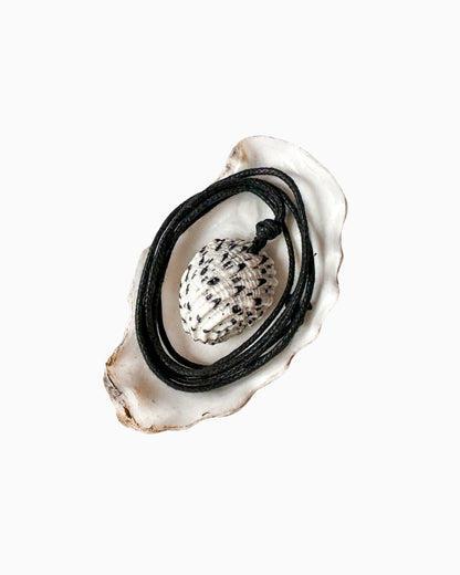 The Shell