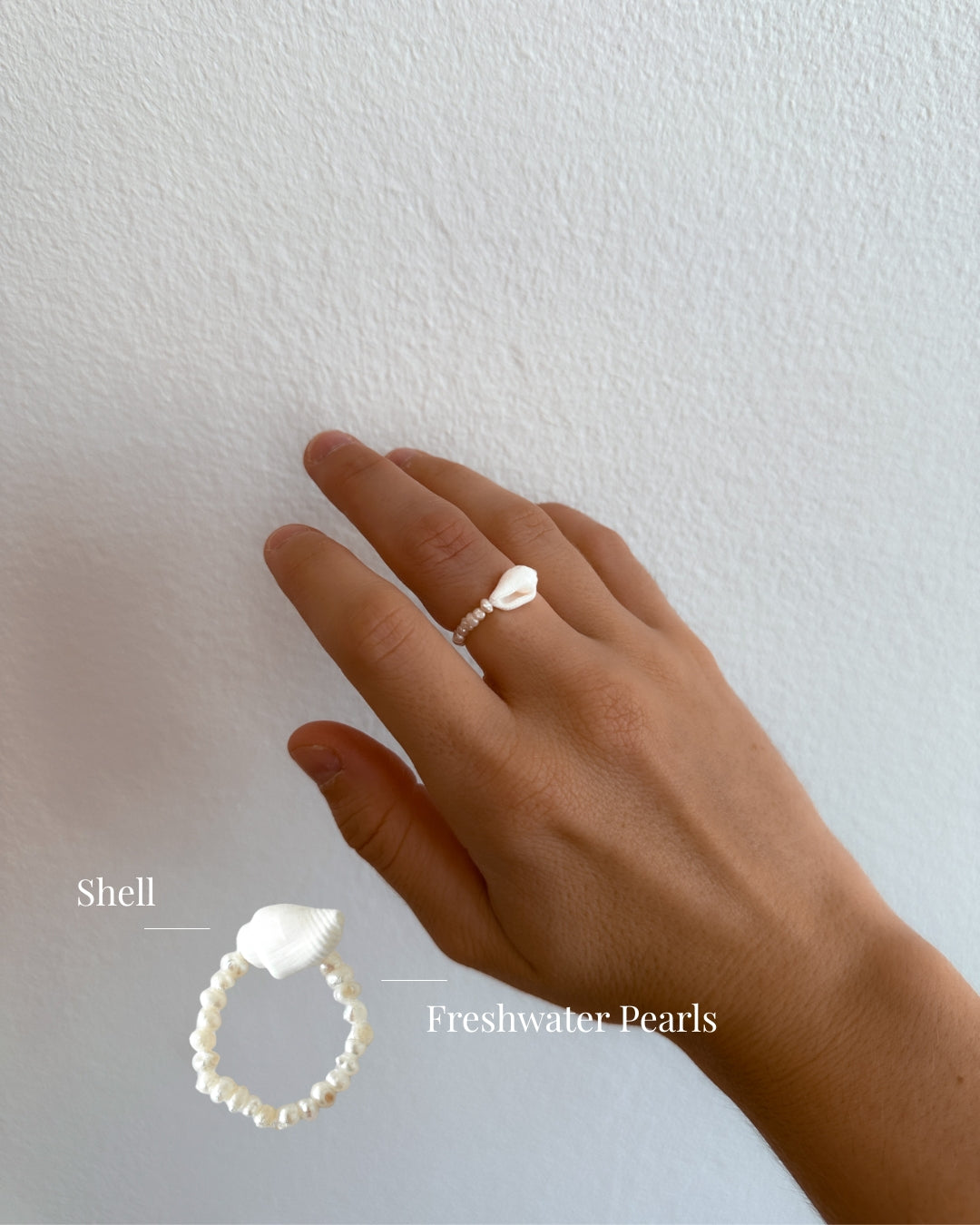 The Shell Ring
